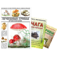 Книги И.А.Филипповой