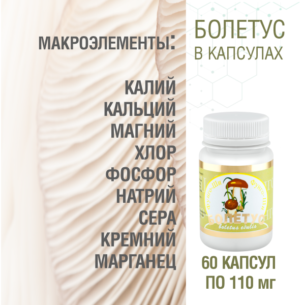 БОЛЕТУС, 60 капсул