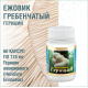 ГЕРИЦИЙ  (ЕЖОВИК ГРЕБЕНЧАТЫЙ), 60 КАПСУЛ