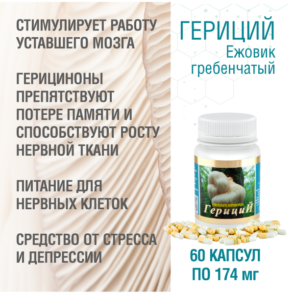 ГЕРИЦИЙ  (ЕЖОВИК ГРЕБЕНЧАТЫЙ), 60 КАПСУЛ