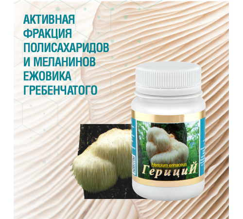 ГЕРИЦИЙ  (ЕЖОВИК ГРЕБЕНЧАТЫЙ), 60 КАПСУЛ