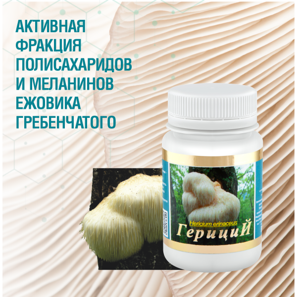 ГЕРИЦИЙ  (ЕЖОВИК ГРЕБЕНЧАТЫЙ), 60 КАПСУЛ