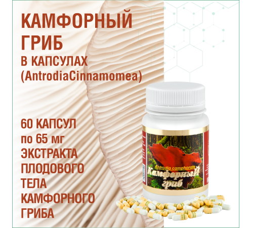 КАМФОРНЫЙ ГРИБ, 60 КАПСУЛ