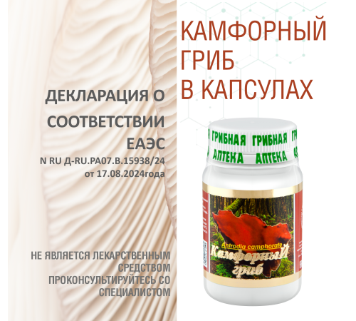 КАМФОРНЫЙ ГРИБ, 60 КАПСУЛ