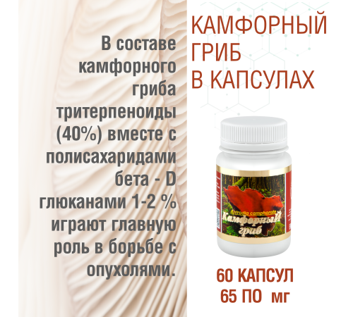 КАМФОРНЫЙ ГРИБ, 60 КАПСУЛ