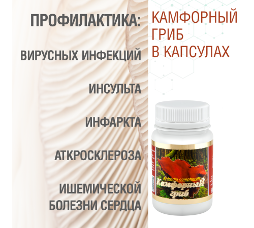 КАМФОРНЫЙ ГРИБ, 60 КАПСУЛ