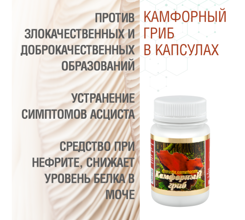 КАМФОРНЫЙ ГРИБ, 60 КАПСУЛ