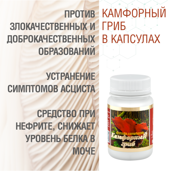 КАМФОРНЫЙ ГРИБ, 60 КАПСУЛ