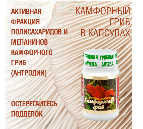 КАМФОРНЫЙ ГРИБ, 60 КАПСУЛ