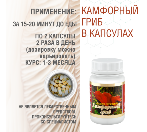 КАМФОРНЫЙ ГРИБ, 60 КАПСУЛ