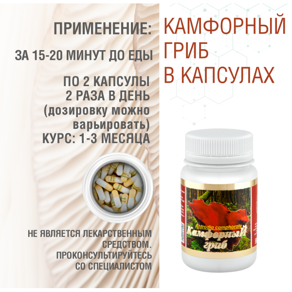 КАМФОРНЫЙ ГРИБ, 60 КАПСУЛ