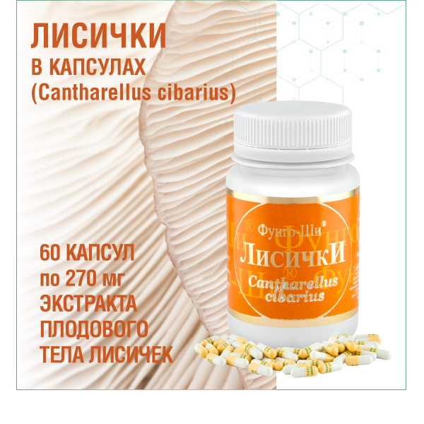 ЛИСИЧКИ, 60 КАПСУЛ