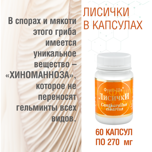 ЛИСИЧКИ, 60 КАПСУЛ