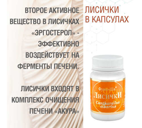 ЛИСИЧКИ, 60 КАПСУЛ