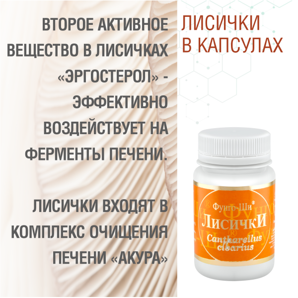 ЛИСИЧКИ, 60 КАПСУЛ