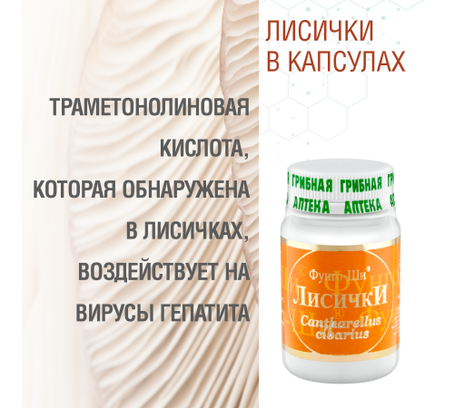 ЛИСИЧКИ, 60 КАПСУЛ