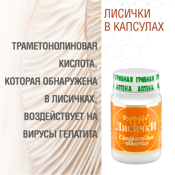 ЛИСИЧКИ, 60 КАПСУЛ