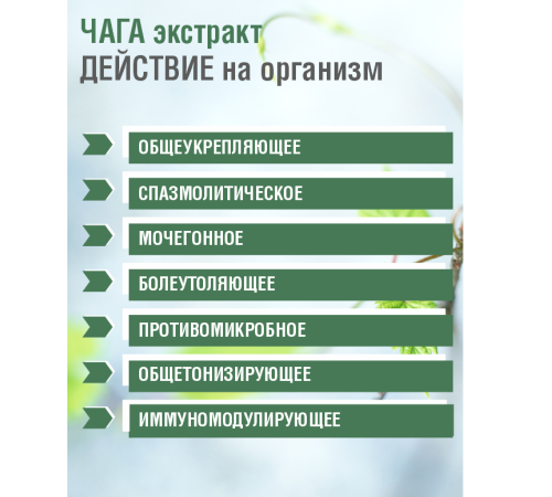 ЧАГА БЕРЕЗОВАЯ ВОДОРАСТВОРИМАЯ ЭКСТРАКТ, 30 САШЕ ПО 1 ГР