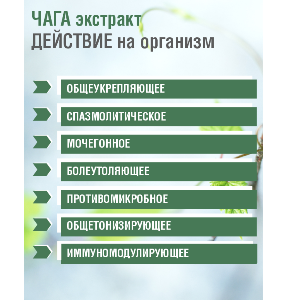 ЧАГА БЕРЕЗОВАЯ ВОДОРАСТВОРИМАЯ ЭКСТРАКТ, 30 САШЕ ПО 1 ГР