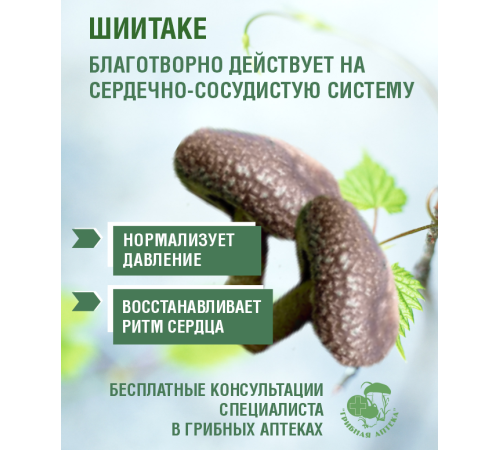 ШИИТАКЕ ВОДОРАСТВОРИМАЯ ФОРМА, 30 САШЕ ПО 1 ГР