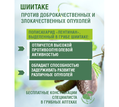 ШИИТАКЕ ВОДОРАСТВОРИМАЯ ФОРМА, 30 САШЕ ПО 1 ГР