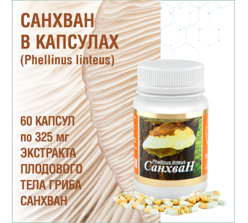 САНХВАН, 60 КАПСУЛ