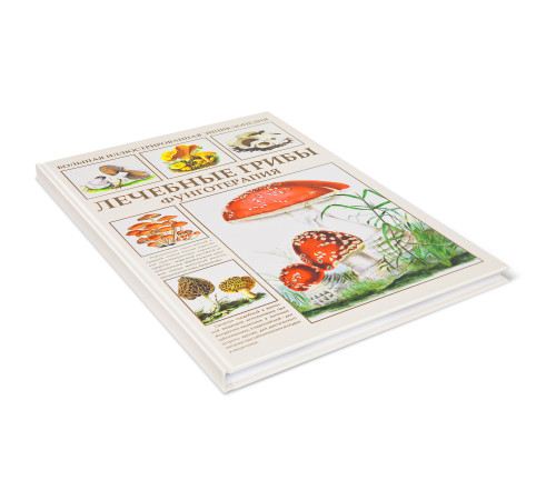 Большая иллюстрированная энциклопедия И.А.Филипповой Лечебные грибы. Фунготерапия