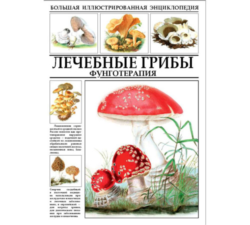 Большая иллюстрированная энциклопедия И.А.Филипповой Лечебные грибы. Фунготерапия