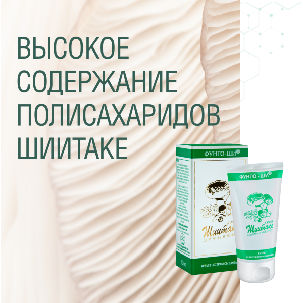 КРЕМ ШИИТАКЕ 2 ШТ