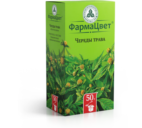 ЧЕРЕДЫ ТРАВА