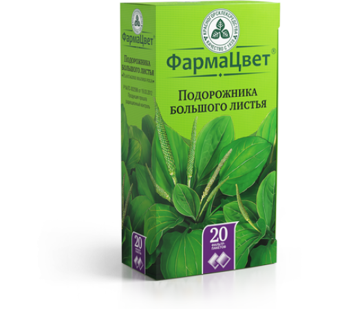 ПОДОРОЖНИКА БОЛЬШОГО ЛИСТЬЯ