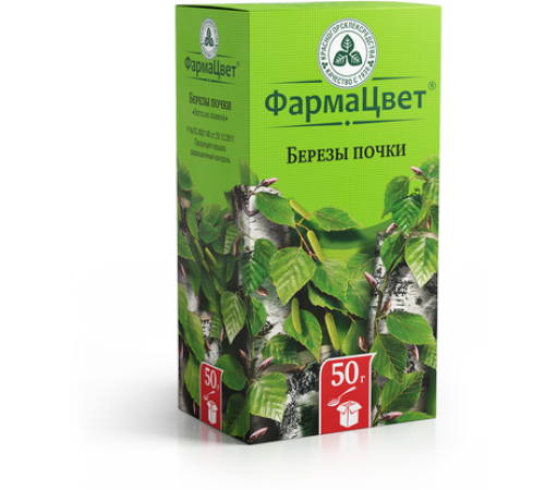 БЕРЕЗЫ ПОЧКИ