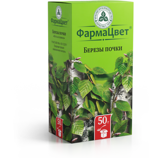 БЕРЕЗЫ ПОЧКИ