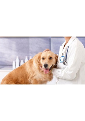 ДЕГЕЛЬМИНТИЗАЦИЯ ЖИВОТНЫХ